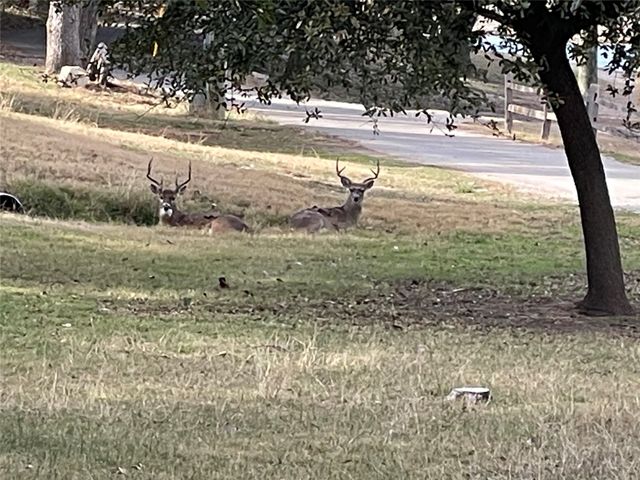 2334 Sanbar Road 71, Possum Kingdom Lake, TX 76449