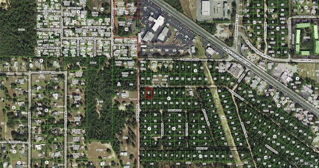 3005 Clearwood Street, Inverness, FL 34452