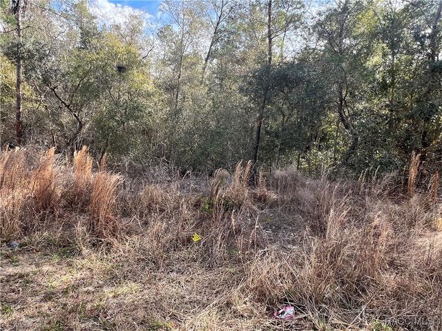 3005 Clearwood Street, Inverness, FL 34452