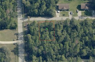 3005 Clearwood Street, Inverness, FL 34452