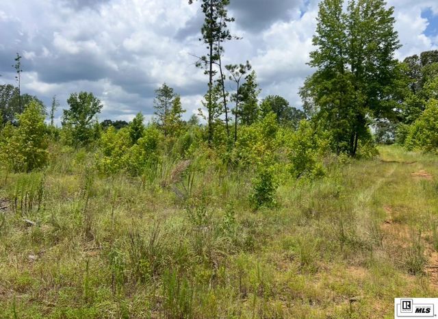 0 MADDEN ROAD, Ruston, LA 71270