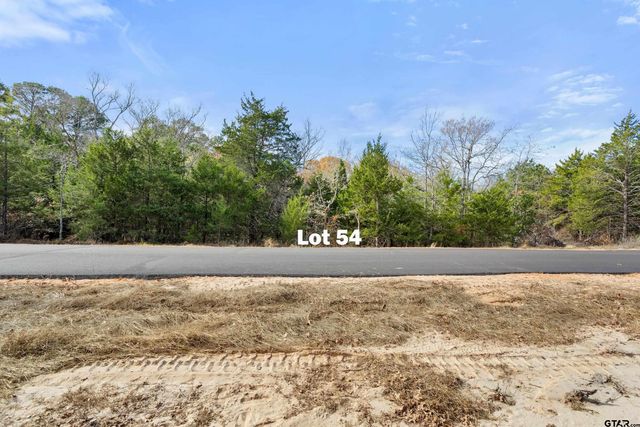 TBD PR 6305 LOT 54, Mineola, TX 75773