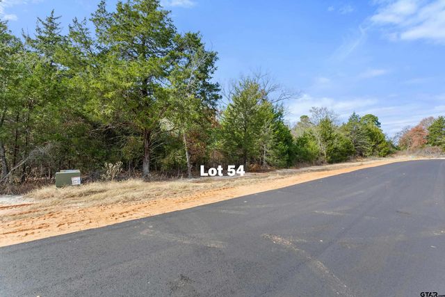 TBD PR 6305 LOT 54, Mineola, TX 75773