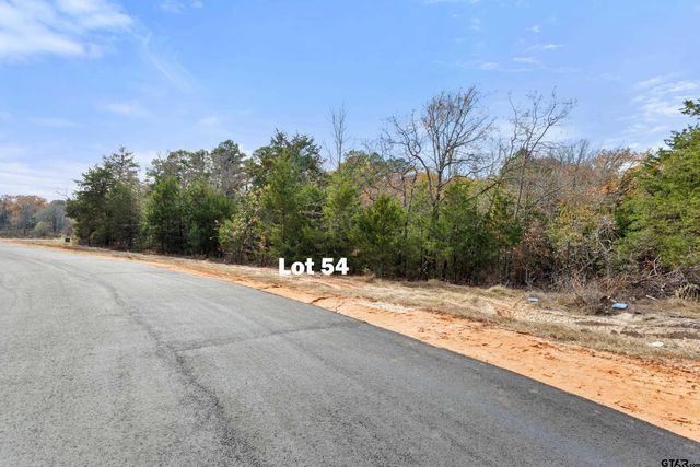 TBD PR 6305 LOT 54, Mineola, TX 75773