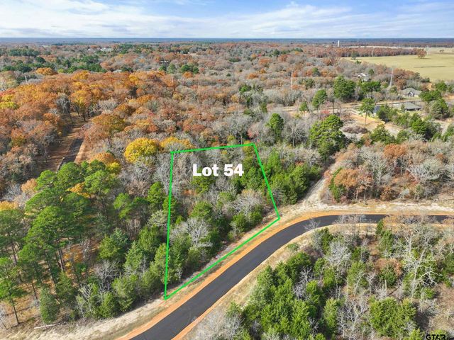 TBD PR 6305 LOT 54, Mineola, TX 75773
