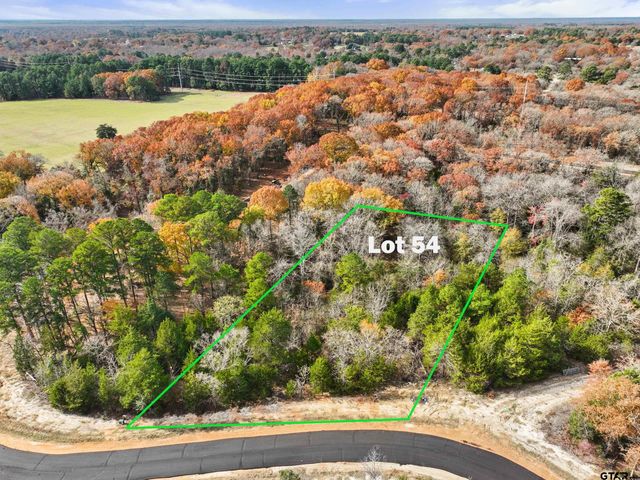 TBD PR 6305 LOT 54, Mineola, TX 75773