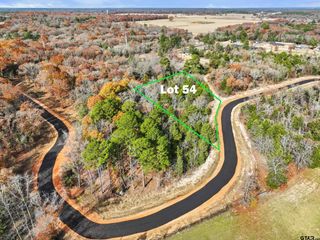 TBD PR 6305 LOT 54, Mineola, TX 75773