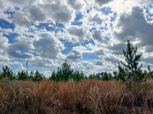 T-3 Fm 247, Huntsville, TX 77340