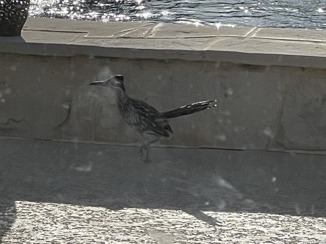 400 Clear Lake, Poteet, TX 78065