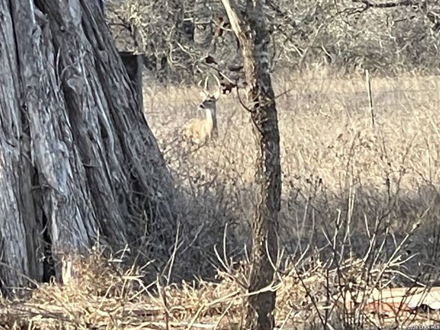 400 Clear Lake, Poteet, TX 78065