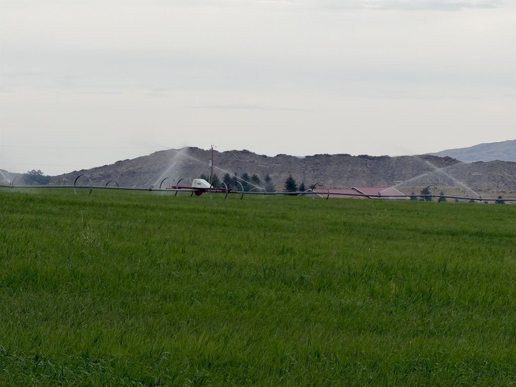 Cody WY photo 4