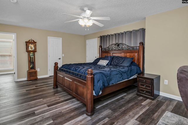 1158 Libby Ariail Circle, Chapin, SC 29036