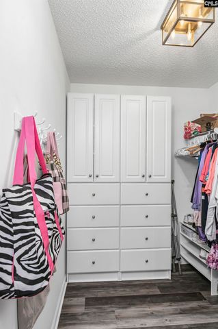 1158 Libby Ariail Circle, Chapin, SC 29036