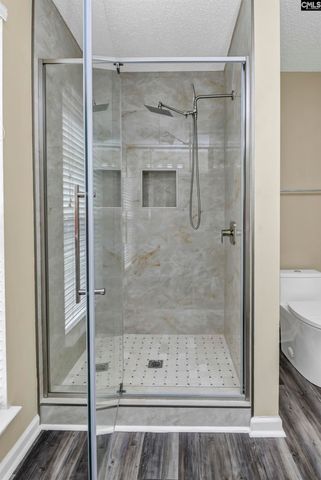1158 Libby Ariail Circle, Chapin, SC 29036
