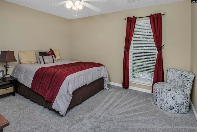 1158 Libby Ariail Circle, Chapin, SC 29036