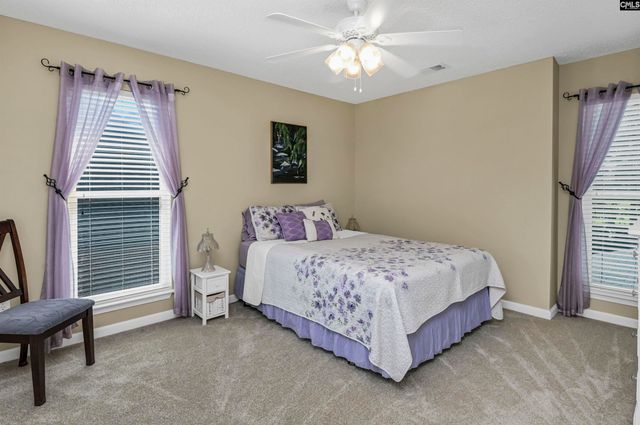 1158 Libby Ariail Circle, Chapin, SC 29036