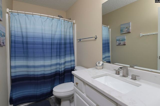 1158 Libby Ariail Circle, Chapin, SC 29036