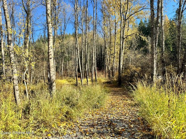 30.91acs French Gulch Rd, Kingston, ID 83839