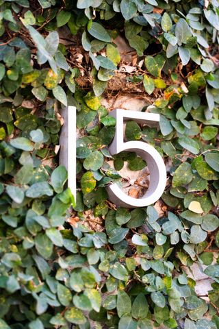 15 Elizabeth Street, Charleston, SC 29403