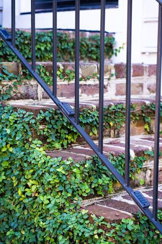 15 Elizabeth Street, Charleston, SC 29403