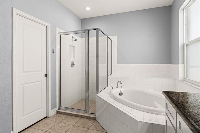 16361 HYDE MANOR DRIVE, Tampa, FL 33647