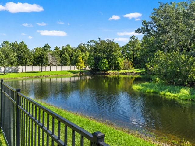 16361 HYDE MANOR DRIVE, Tampa, FL 33647
