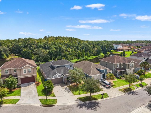 16361 HYDE MANOR DRIVE, Tampa, FL 33647