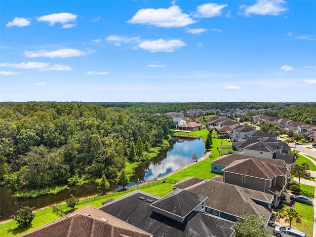 16361 HYDE MANOR DRIVE, Tampa, FL 33647