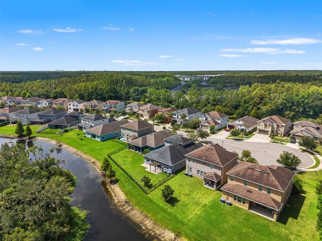 16361 HYDE MANOR DRIVE, Tampa, FL 33647