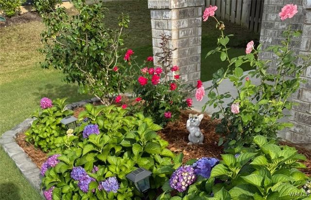 3701 MAGNOLIA, Northport, AL 35473