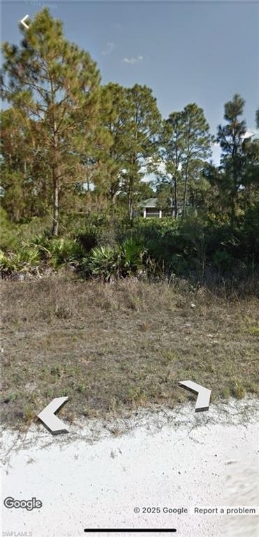 437 Lackey AVE S, LEHIGH ACRES, FL 33974 — photo 4
