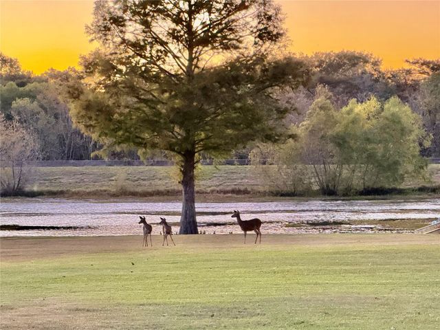 6005 Lakeside Drive, Liberty, TX 77575