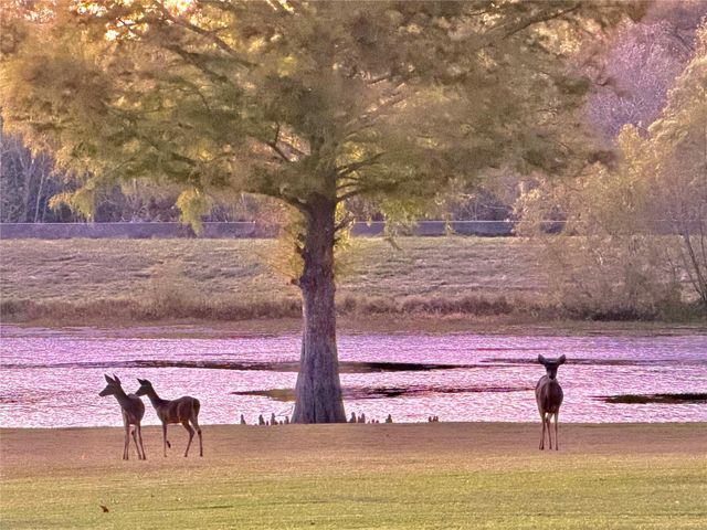 6005 Lakeside Drive, Liberty, TX 77575