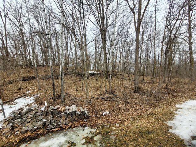 31741 170th Street, Detroit Lakes, MN 56501