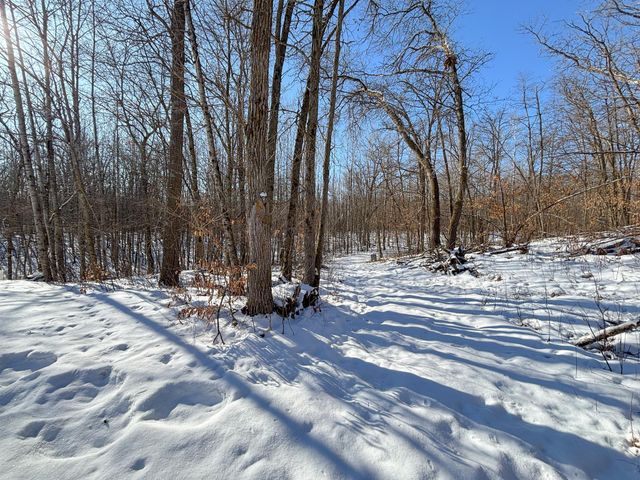 31741 170th Street, Detroit Lakes, MN 56501