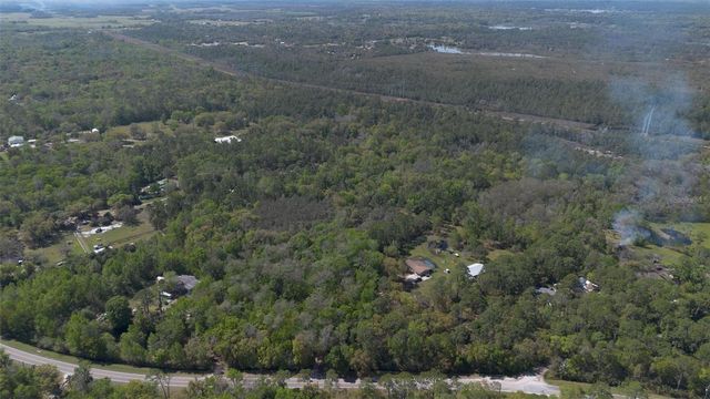 JUNGLE ROAD, Geneva, FL 32732