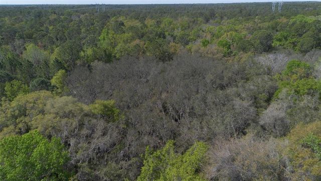 JUNGLE ROAD, Geneva, FL 32732