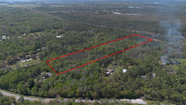 JUNGLE ROAD, Geneva, FL 32732