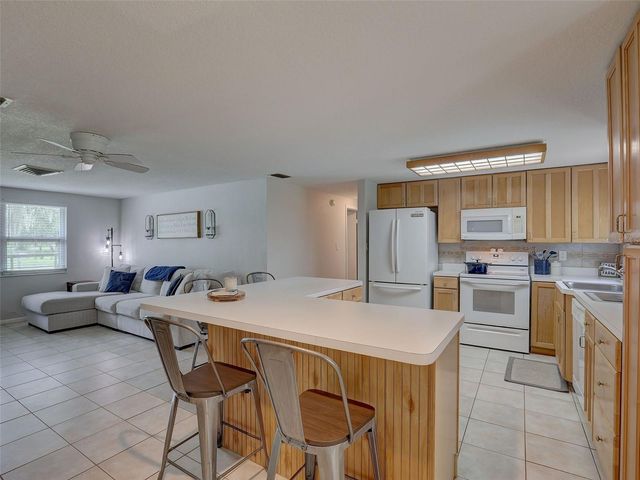 13102 GIBSON LANE, Odessa, FL 33556