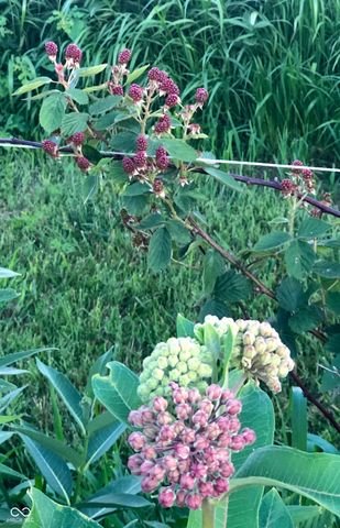 3109 S County Road 1050 W, Greensburg, IN 47240