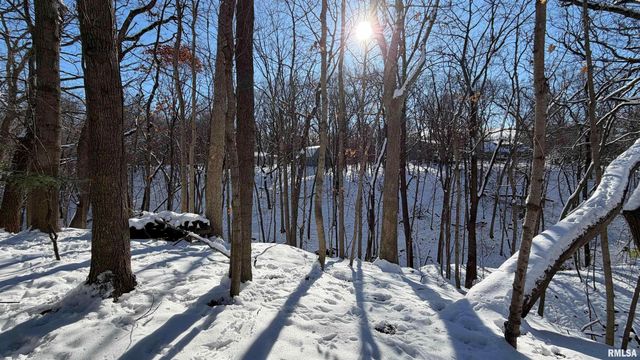 1318 W FEATHERWOOD Drive, Dunlap, IL 61525