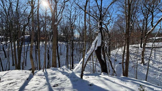 1318 W FEATHERWOOD Drive, Dunlap, IL 61525