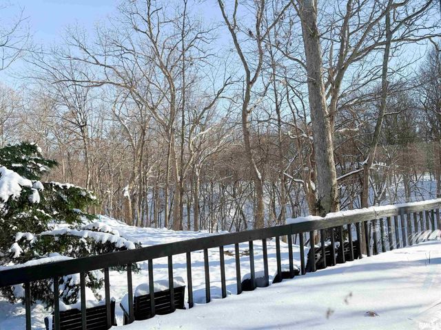 1318 W FEATHERWOOD Drive, Dunlap, IL 61525