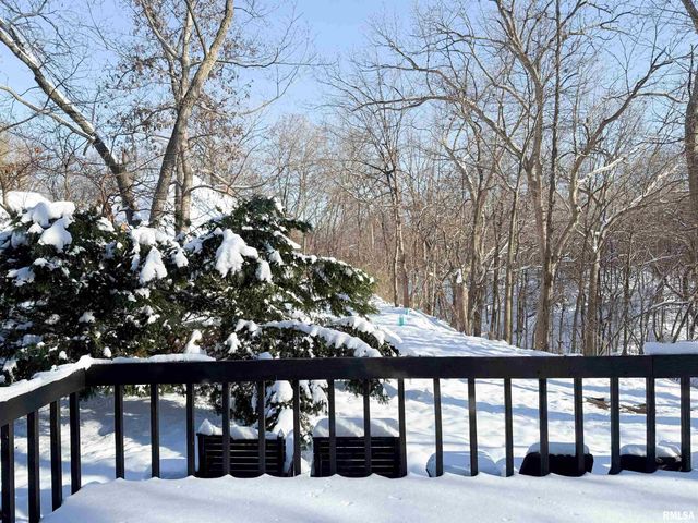 1318 W FEATHERWOOD Drive, Dunlap, IL 61525