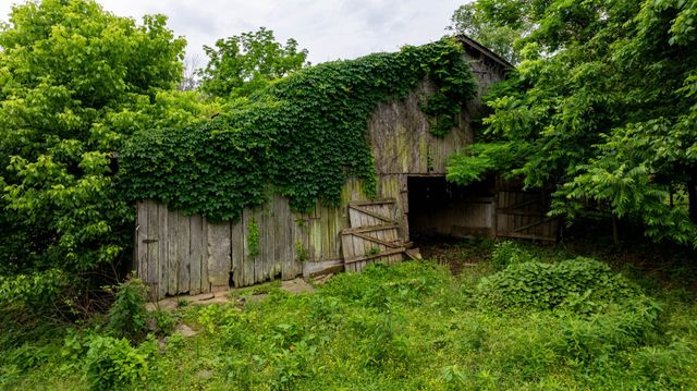 1495 Wolf Hill Rd, Bethpage, TN 37022