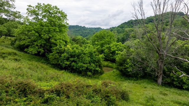 1495 Wolf Hill Rd, Bethpage, TN 37022