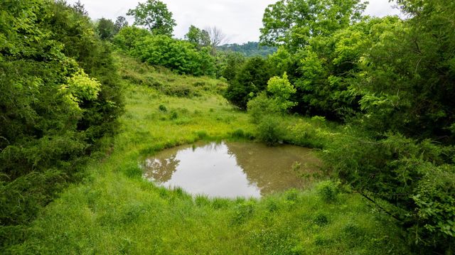 1495 Wolf Hill Rd, Bethpage, TN 37022