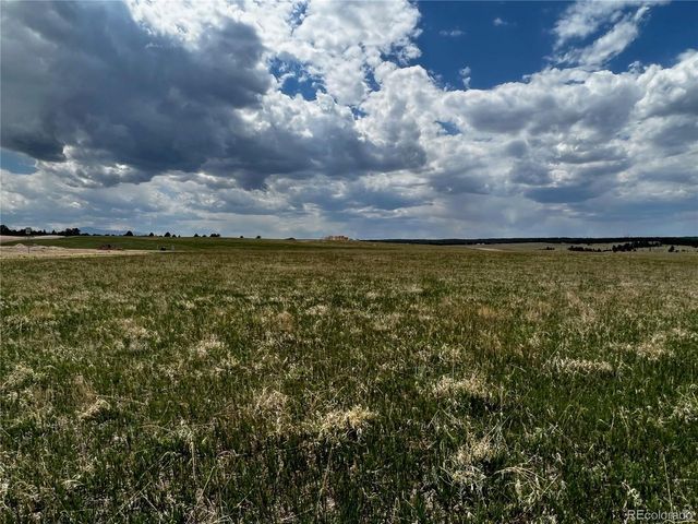 11970 Woodridge Ter, Colorado Springs, CO 80908