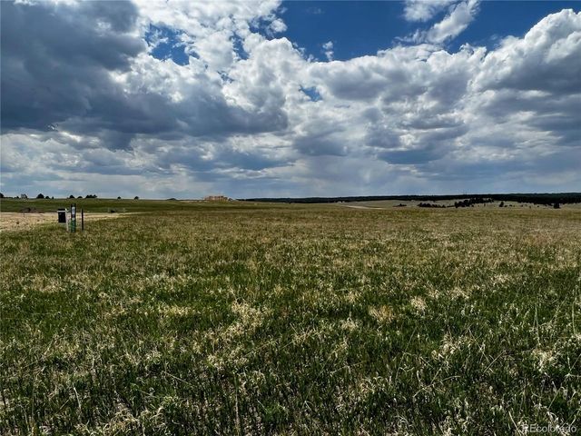 11970 Woodridge Ter, Colorado Springs, CO 80908