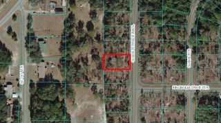 0 GUAVA TERRACE RADIAL, Ocklawaha, FL 32179